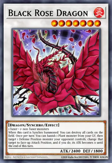 Black Rose Dragon – Premium Gold: Infinite Gold. Beispielbild: Edition, Artwork und Veredelung können abweichen. Maßgeblich sind die Angaben zum ausgewählten Print.